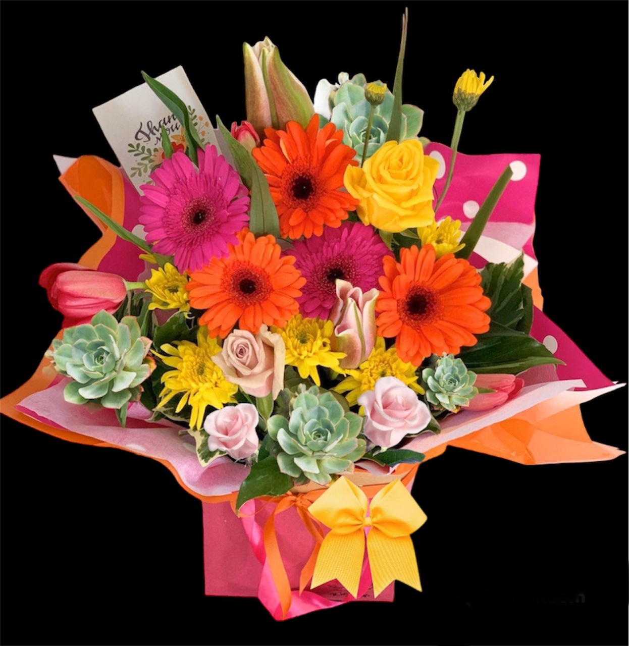 Cheerful Polka - Image 2